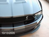 SHELBY 3.jpg