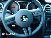 SHELBY 4.jpg