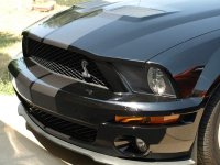 SHELBY B.jpg