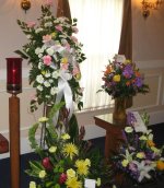 IMG_3228.jpg