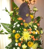 IMG_3234.jpg