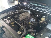 IMG_20130404_133929.jpg