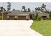 Illustrated Photo of House_10FEB2014.jpg