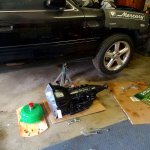 IMG_20160515_184835.jpg