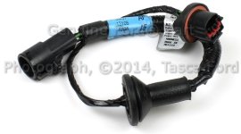 Socket & Wire, LEFT - 2003 Mercury Marauder (3W3Z13076AA).jpg