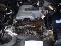 DSCN1263.jpg