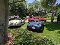 WDI Car Show (22).jpg