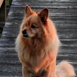 Bud E. Bear.jpg