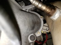20201109_181355.jpg
