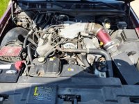 Engine compartment.jpg