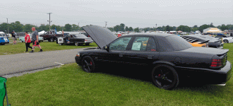IMG20250608095354.gif