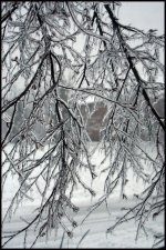Winter Storm 2009 010 copy.jpg