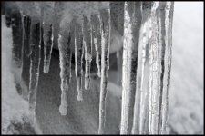 Winter Storm 2009 013 copy.jpg