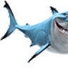 Sharky