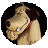 ShadyLurker